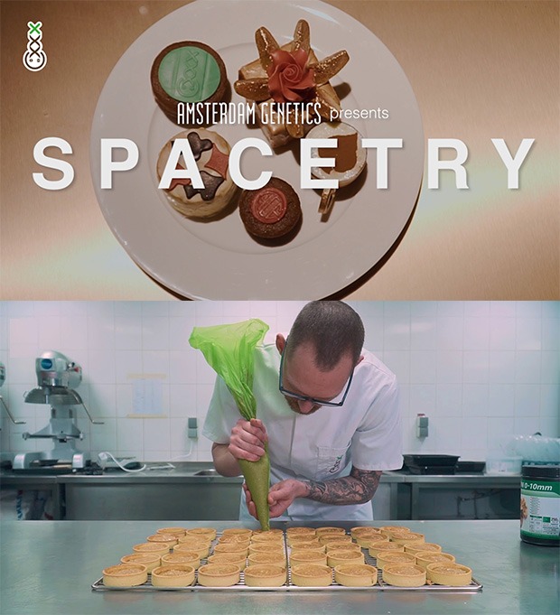 A pastry chef at Spacetry preparing a new batch of cannabis infused edibles Coffeeshop Guru