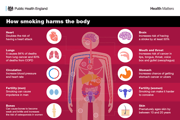 an infographic about the dangers of smoking cannabis mixed with tobacco at Coffeeshop Guru