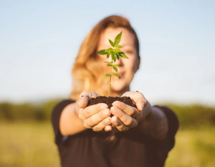 Woman holds a marijuana strain best for beginner growers