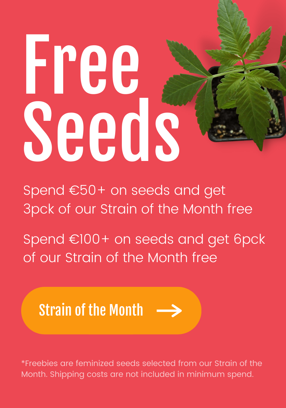 Spend €50+ on seeds and get 3pck of feminized Strain of the Month seeds free